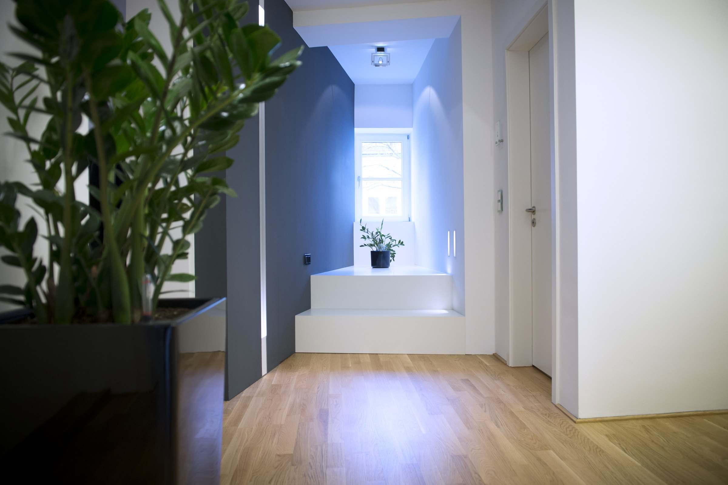 Büro der ST 77 in der Kronengasse, Ulm